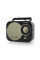Акустична система Muse M-055 RB Wireless Black (M-055 RB)