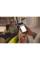 Навушники Philips Kids TAK4206 On-ear Colored light panels Wireless Blue (TAK4206BL/00)