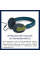 Навушники Philips TAK2000CT/00 USB-C/3,5 мм Blue/Green (TAK2000CT/00)