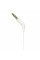 Навушники Philips TAE1105 White (TAE1105WT/00)