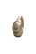 Навушники JBL Tour One M3 Latte (JBLTOURONEM3LTT)