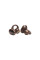 Навушники JBL Soundgear Clips Copper (JBLSNDGEARCLCOP)