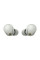 Навушники Sony WF-1000XM5 Platinum Silver (WF1000XM5S.CE7)
