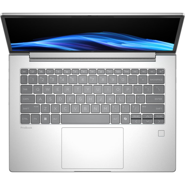Ноутбук HP ProBook 4 G1i (C45N9ET)
