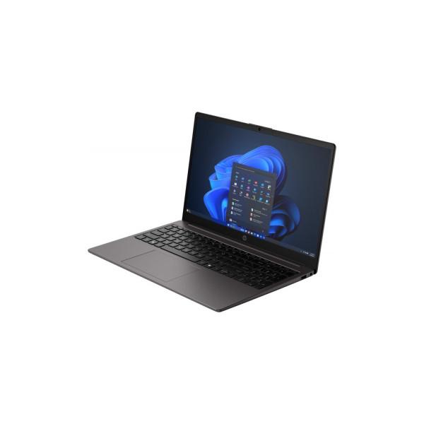 Ноутбук HP 255R G10 (CW0S0AT)
