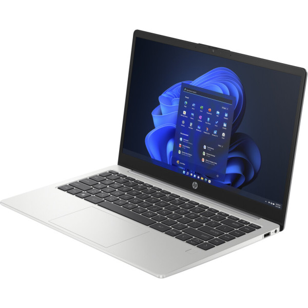 Ноутбук HP 245 G10 (A23L1EA)